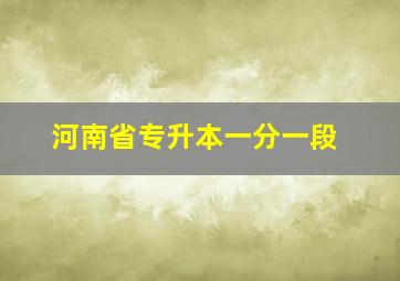 河南省专升本一分一段