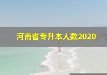 河南省专升本人数2020