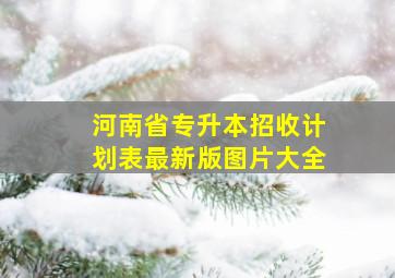 河南省专升本招收计划表最新版图片大全