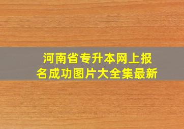 河南省专升本网上报名成功图片大全集最新