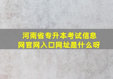 河南省专升本考试信息网官网入口网址是什么呀