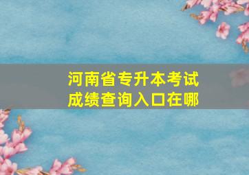 河南省专升本考试成绩查询入口在哪