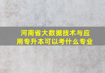 河南省大数据技术与应用专升本可以考什么专业