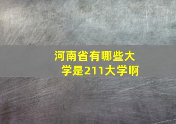 河南省有哪些大学是211大学啊