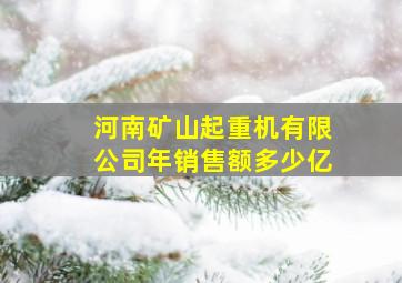 河南矿山起重机有限公司年销售额多少亿