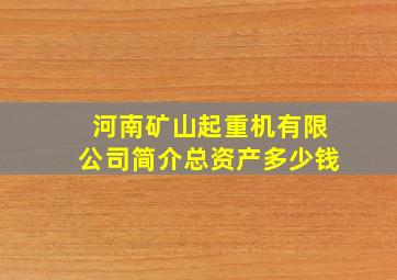 河南矿山起重机有限公司简介总资产多少钱