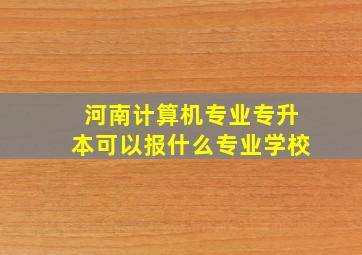 河南计算机专业专升本可以报什么专业学校