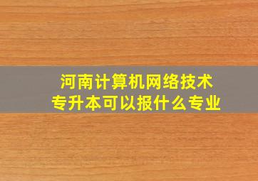 河南计算机网络技术专升本可以报什么专业