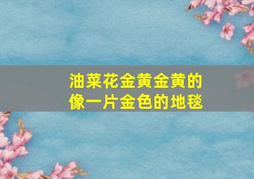 油菜花金黄金黄的像一片金色的地毯