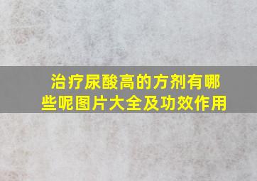 治疗尿酸高的方剂有哪些呢图片大全及功效作用