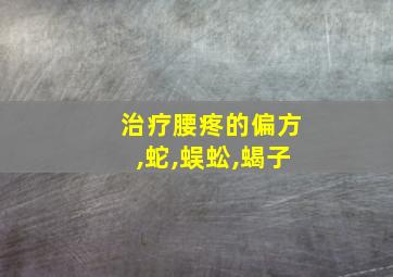 治疗腰疼的偏方,蛇,蜈蚣,蝎子