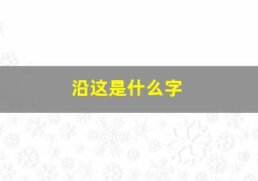 沿这是什么字