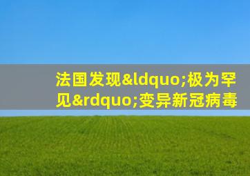 法国发现“极为罕见”变异新冠病毒