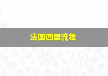 法国回国流程