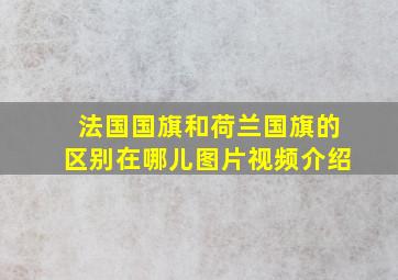 法国国旗和荷兰国旗的区别在哪儿图片视频介绍