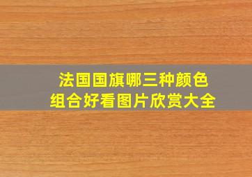 法国国旗哪三种颜色组合好看图片欣赏大全