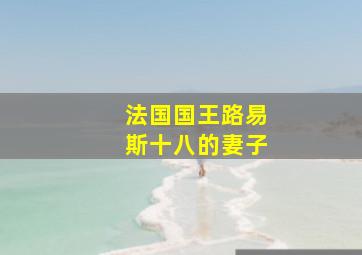 法国国王路易斯十八的妻子