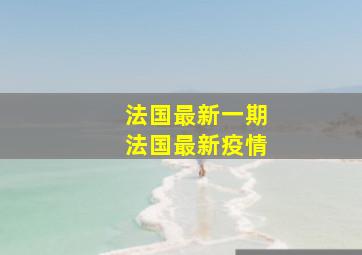 法国最新一期法国最新疫情