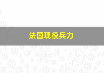 法国现役兵力