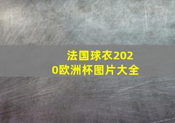 法国球衣2020欧洲杯图片大全