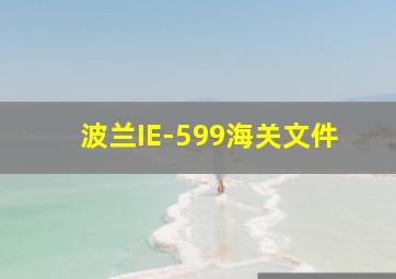 波兰IE-599海关文件