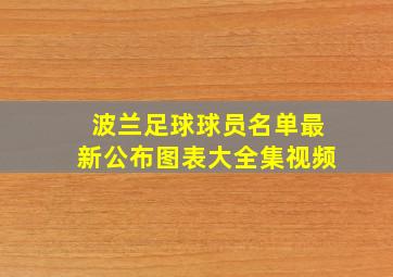 波兰足球球员名单最新公布图表大全集视频