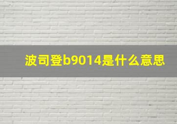 波司登b9014是什么意思