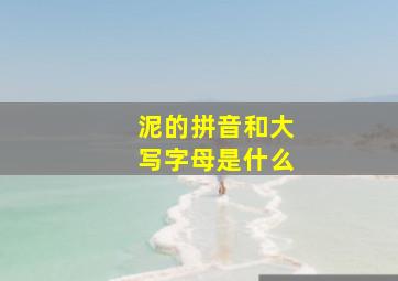 泥的拼音和大写字母是什么