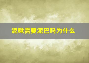 泥鳅需要泥巴吗为什么