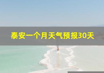 泰安一个月天气预报30天