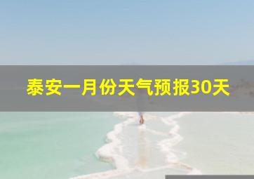 泰安一月份天气预报30天