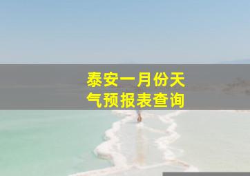 泰安一月份天气预报表查询