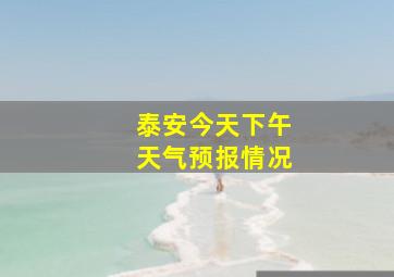 泰安今天下午天气预报情况