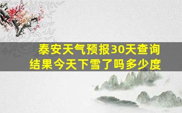 泰安天气预报30天查询结果今天下雪了吗多少度