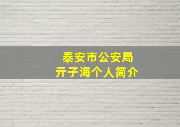 泰安市公安局亓子海个人简介