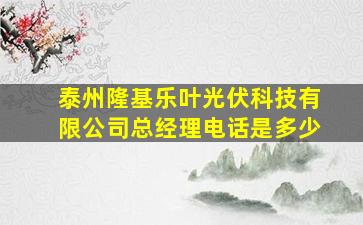 泰州隆基乐叶光伏科技有限公司总经理电话是多少