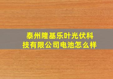 泰州隆基乐叶光伏科技有限公司电池怎么样