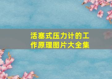 活塞式压力计的工作原理图片大全集