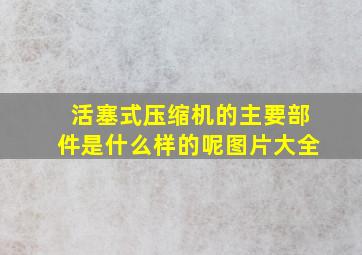 活塞式压缩机的主要部件是什么样的呢图片大全