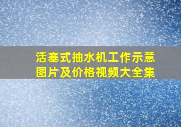 活塞式抽水机工作示意图片及价格视频大全集