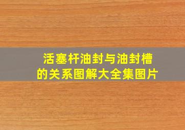 活塞杆油封与油封槽的关系图解大全集图片