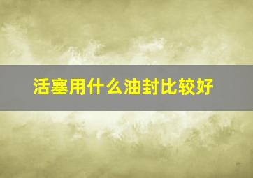 活塞用什么油封比较好