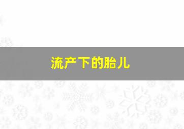 流产下的胎儿