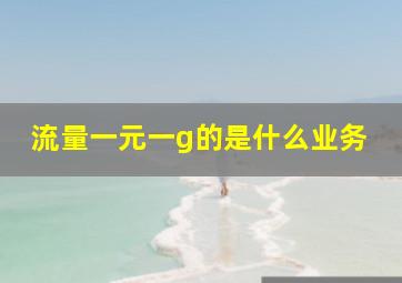 流量一元一g的是什么业务