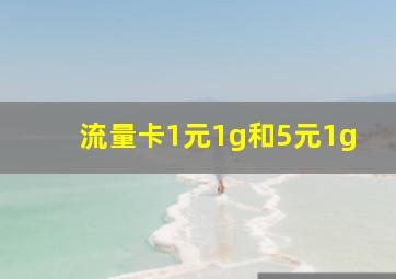 流量卡1元1g和5元1g