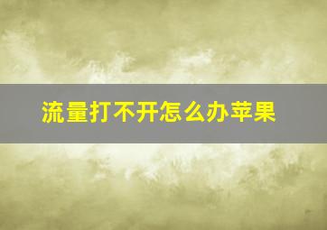 流量打不开怎么办苹果