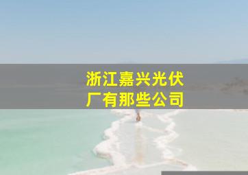 浙江嘉兴光伏厂有那些公司