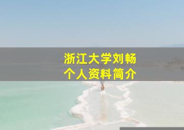 浙江大学刘畅个人资料简介