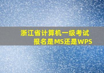 浙江省计算机一级考试报名是MS还是WPS