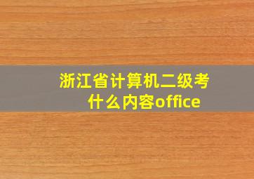 浙江省计算机二级考什么内容office